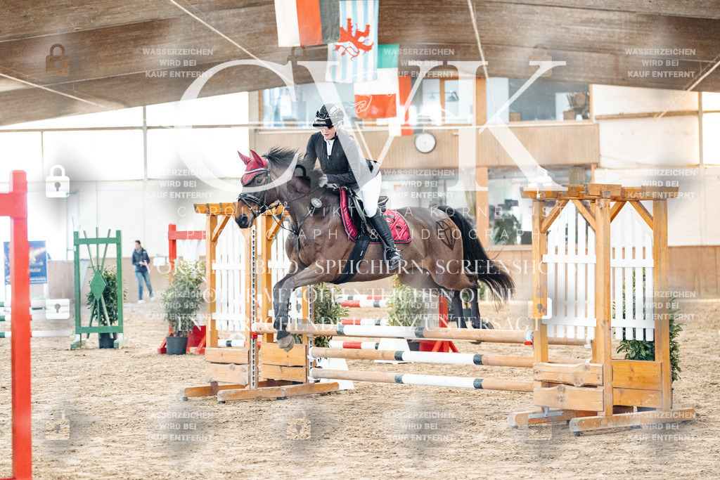 CK903757 | Turnierfotografie Pferdefotografie Trier Rheinland-Pfalz Pferdesport Reitsport Tierfotografie Sportfotografie Pferdevideo Pferdevideografie Equestrianvideography equestrianphotography  - Realized with Pictrs.com