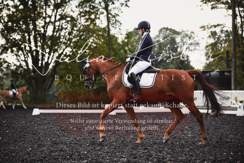DSC_3793 | Pferde- und Turnierfotografie in Westsachsen. Pferdeportraits, Auftragszeichnungen und intuitive Kunst.