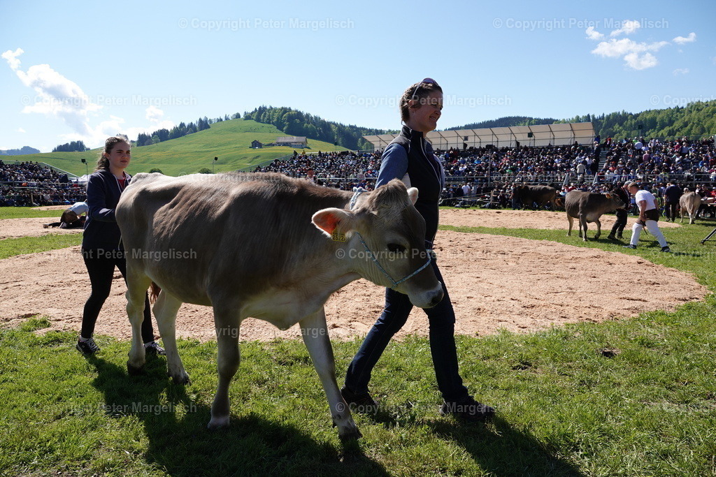 DSC00948 | Schwingen - Realisiert mit Pictrs.com