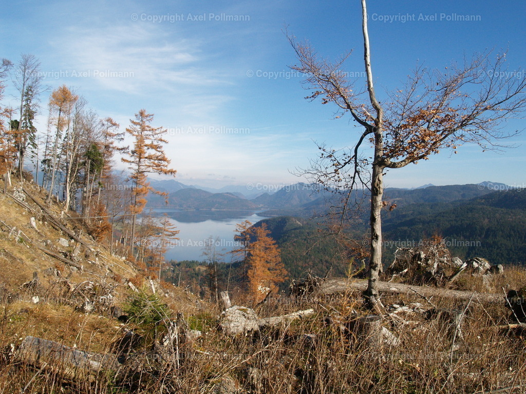 PB069845 | fotografiert von Axel PollmannLeonhardi Wallfahrt Benediktbeuern und Murnau, Fronleichnam, Fasching, Landschaft im Loisachtal und Benediktbeuern  - Realisiert mit Pictrs.com