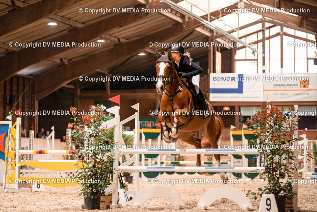 Springen Tag 3-042 | dv-media-shop - Realisiert mit Pictrs.com