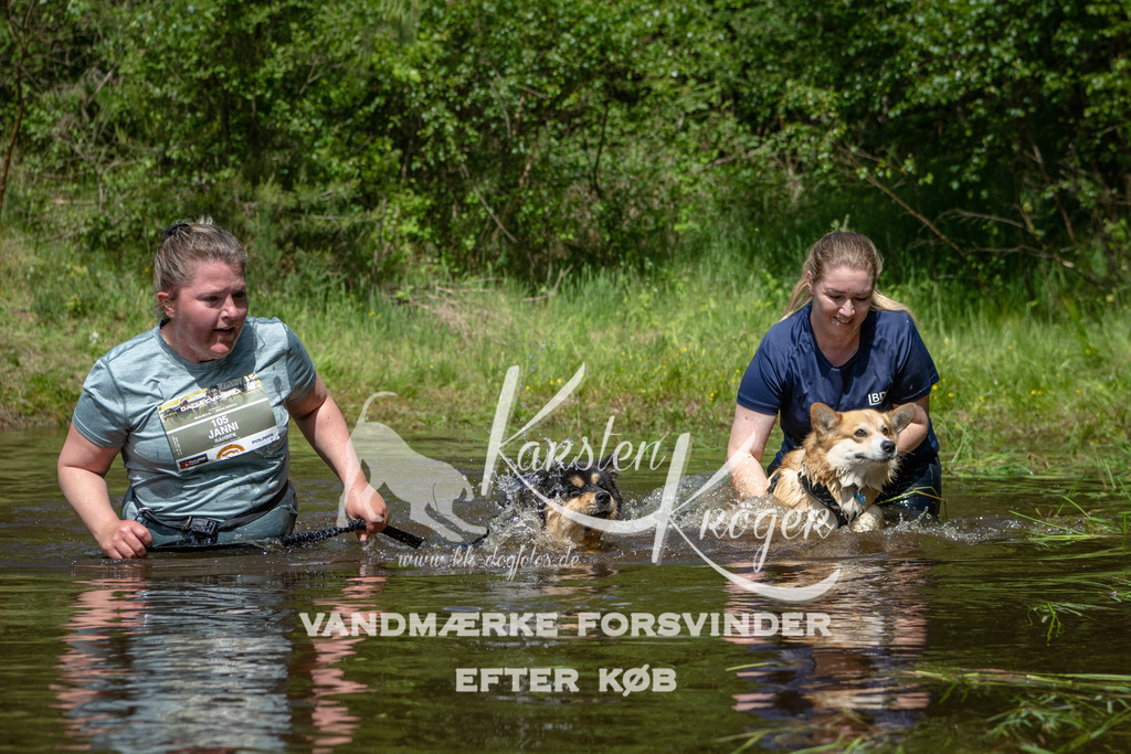 1216DKK992349 | kk-dogfotos