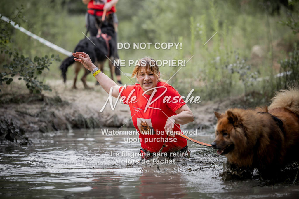 nelerasche_so0800-0930_309 | nelerasche
