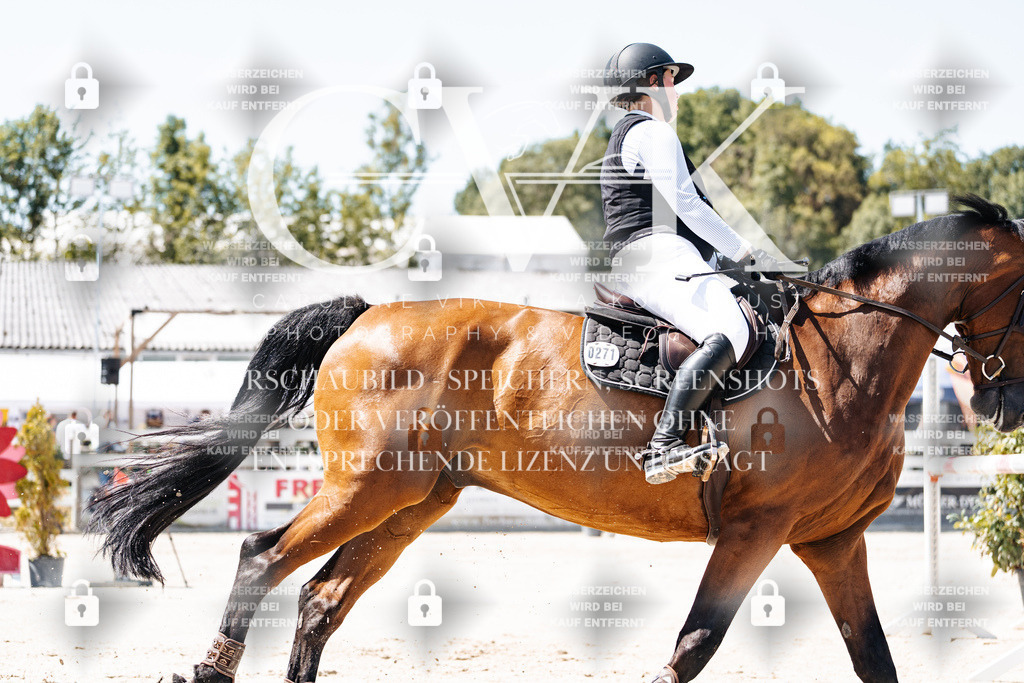 CK909612 | Turnierfotografie Pferdefotografie Trier Rheinland-Pfalz Pferdesport Reitsport Tierfotografie Sportfotografie Pferdevideo Pferdevideografie Equestrianvideography equestrianphotography  - Realisiert mit Pictrs.com