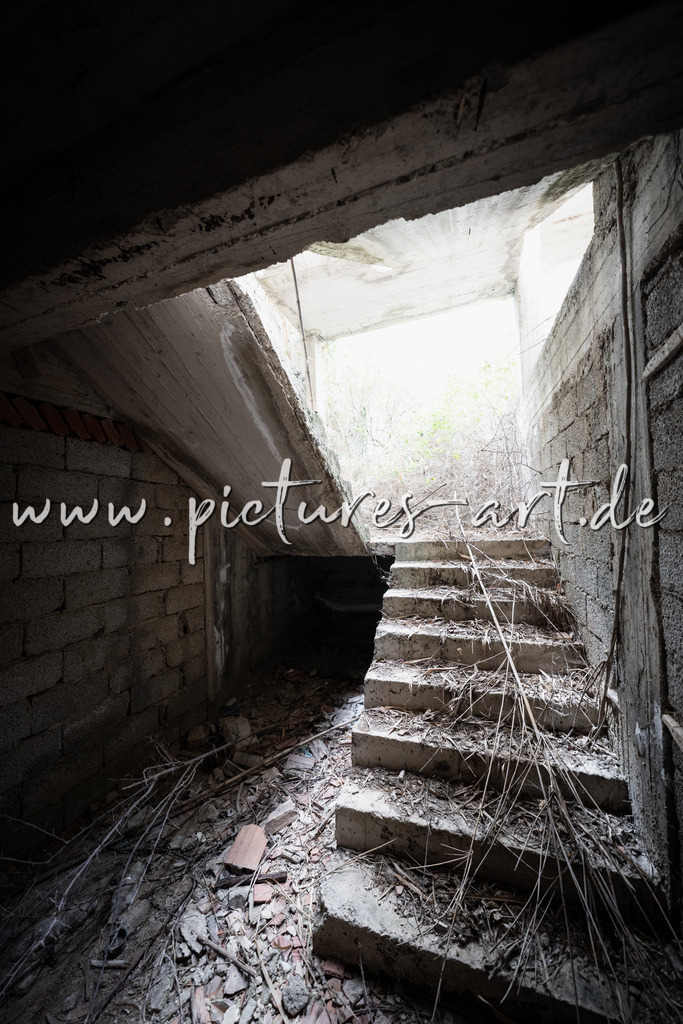 DSC09920 | pictures-art.de