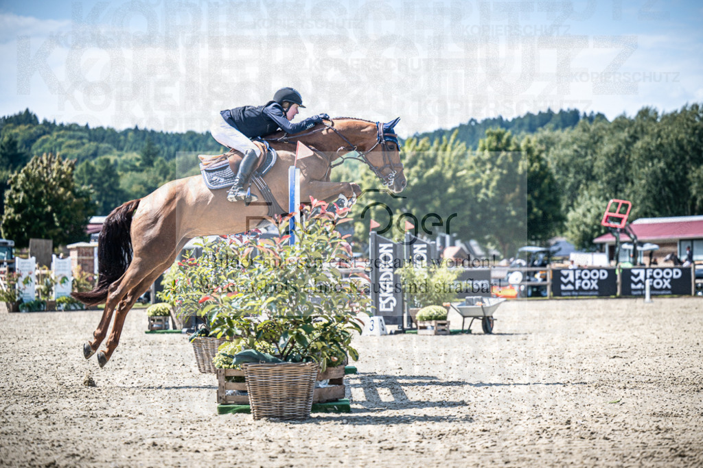 DOS_4526 | Entdecke hochwertige Reitturnierfotos von Foto Oger. Professionell, emotional und authentisch – jetzt Lieblingsmomente im Shop bestellen.Deutschlandweite Turnierfotografie. - Realisiert mit Pictrs.com