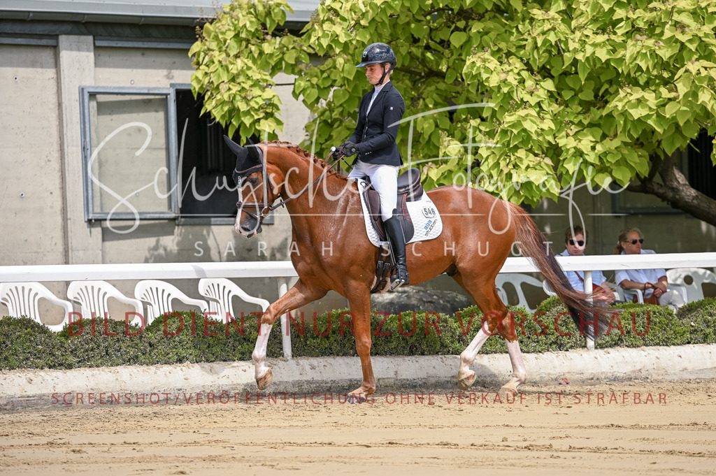 Schugtsche-Aluta25-48.Reitpferfdeprf.-115 | Schugtsche Fotografie - Realisiert mit Pictrs.com