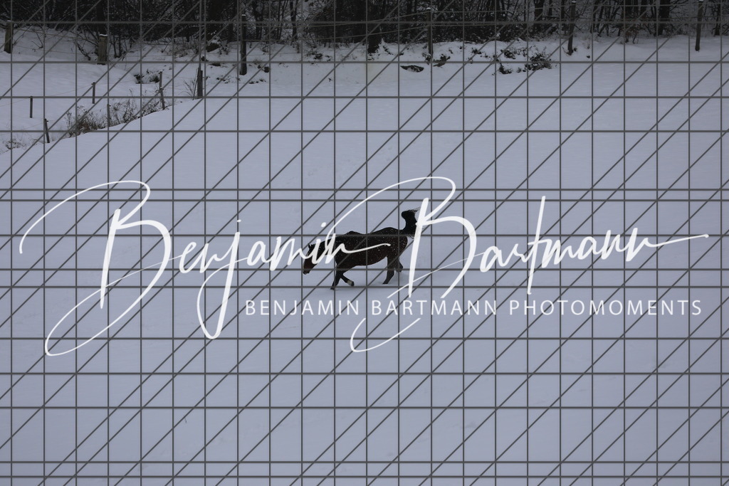 AZ2A3414 | Benjamin Bartmann Photomoments