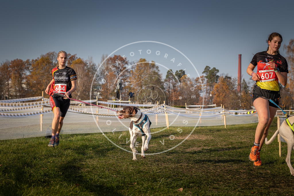 CaniXpix_0L8A0114 | Hundefotografie, Tierfotograf, Pfotenfotografie, Fotoshooting Hund, Hunde Portrait, Hundesport, Hundeportraits, Heideshooting, Hunde, Sportfotograf, Hundefotograf, Turnierhundsport, THS,  - Realisiert mit Pictrs.com