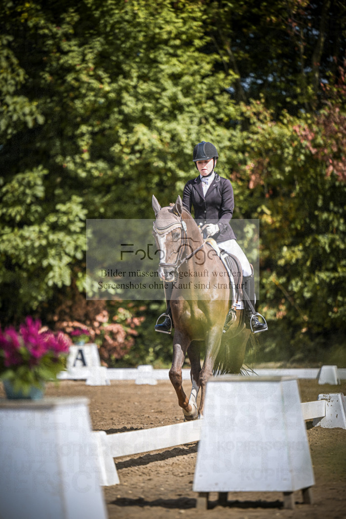 DOS_0063 | Entdecke hochwertige Reitturnierfotos von Foto Oger. Professionell, emotional und authentisch – jetzt Lieblingsmomente im Shop bestellen.Deutschlandweite Turnierfotografie. - Realisiert mit Pictrs.com