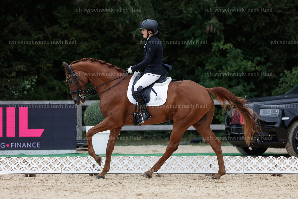 3-111-Dressur M_-StoibPH-2304 | working equitationturnier fotograf videograf stoibphotography marixx film working equitation deutschland reitsport turnierfotografie eventfotografie equestrian events