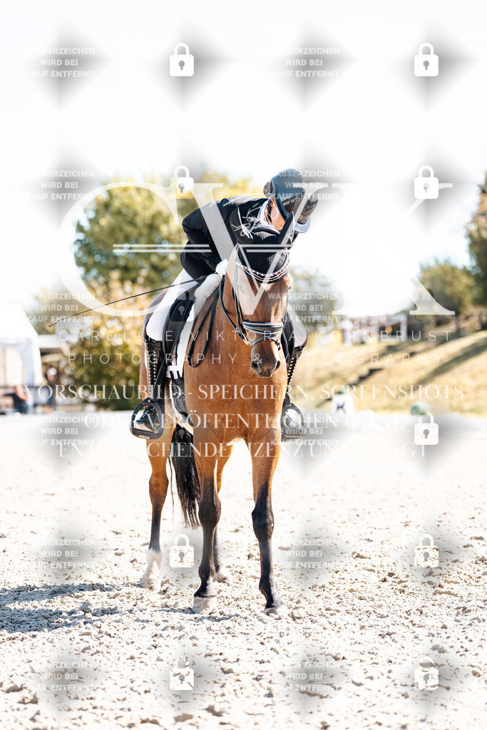 CK909290 | Turnierfotografie Pferdefotografie Trier Rheinland-Pfalz Pferdesport Reitsport Tierfotografie Sportfotografie Pferdevideo Pferdevideografie Equestrianvideography equestrianphotography  - Realisiert mit Pictrs.com