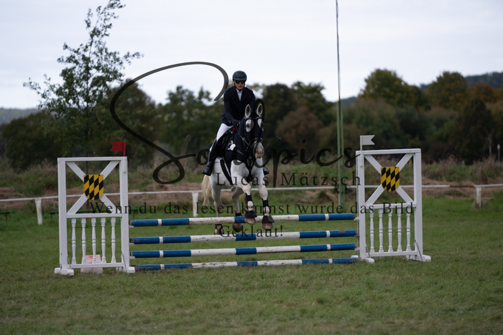 A7V06431 | Pferdefotograf