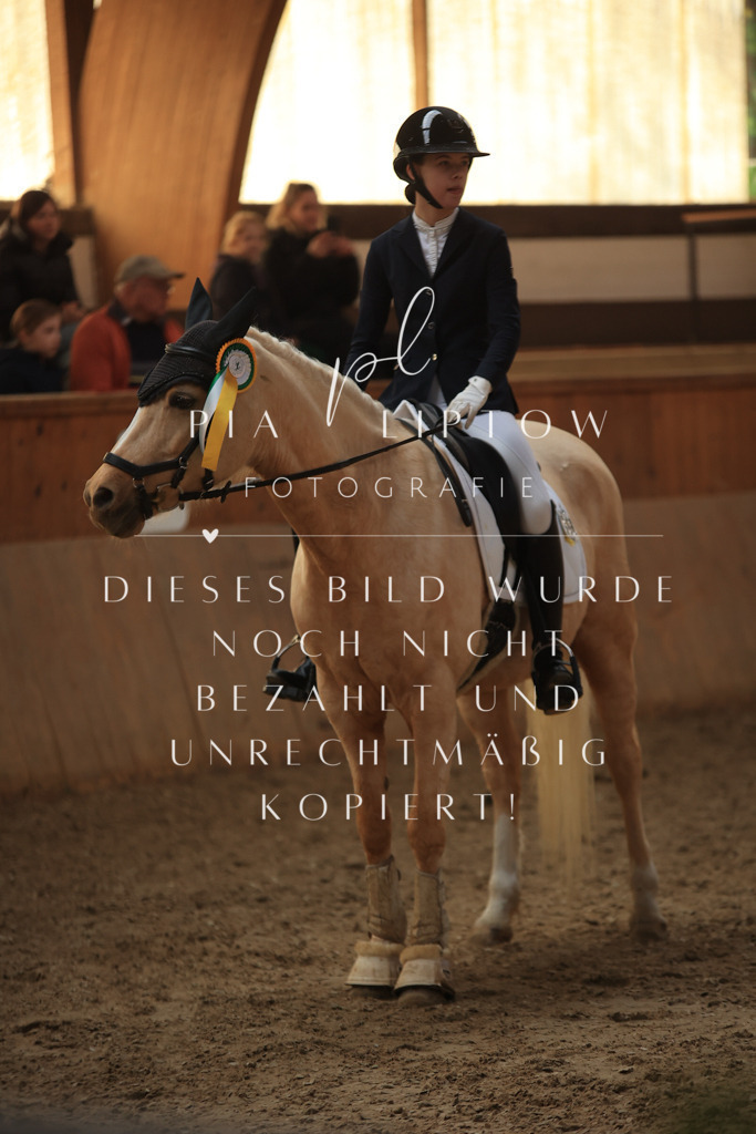 IMGT5604 | pl-fotografie