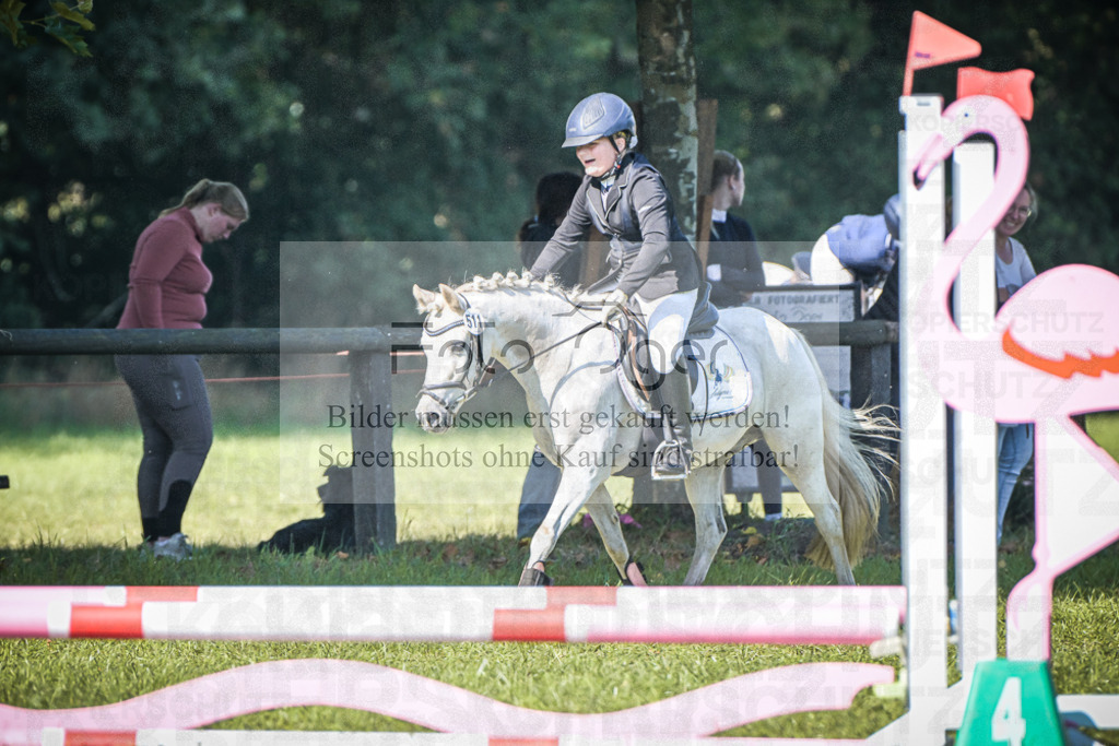 DOS_1187 | Entdecke hochwertige Reitturnierfotos von Foto Oger. Professionell, emotional und authentisch – jetzt Lieblingsmomente im Shop bestellen.Deutschlandweite Turnierfotografie. - Realisiert mit Pictrs.com