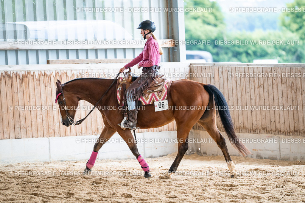 DSC01367 | Pferdegrafie