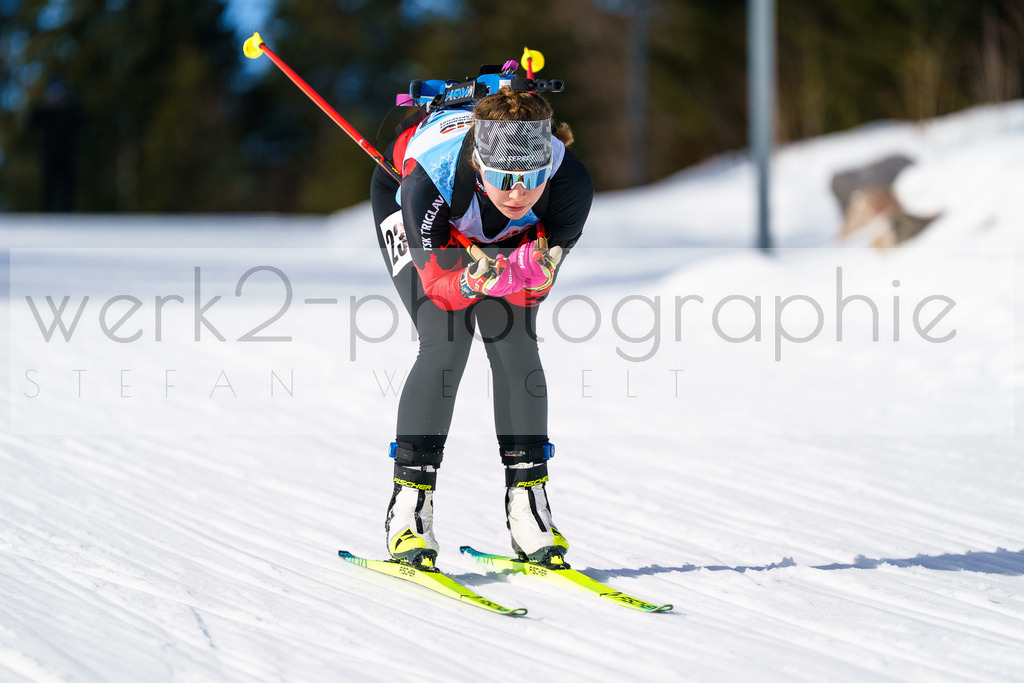FESA Alpencup / DP Notschrei | Deutschland Pokal Finale im Schwarzwald NORDIC-CENTER Notschrei am 7. - 8. Februar 2026