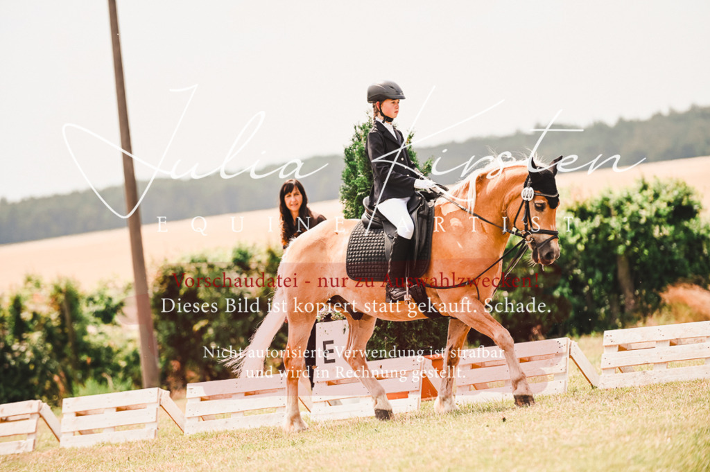 DSC_6251 | Pferde- und Turnierfotografie in Westsachsen. Pferdeportraits, Auftragszeichnungen und intuitive Kunst.