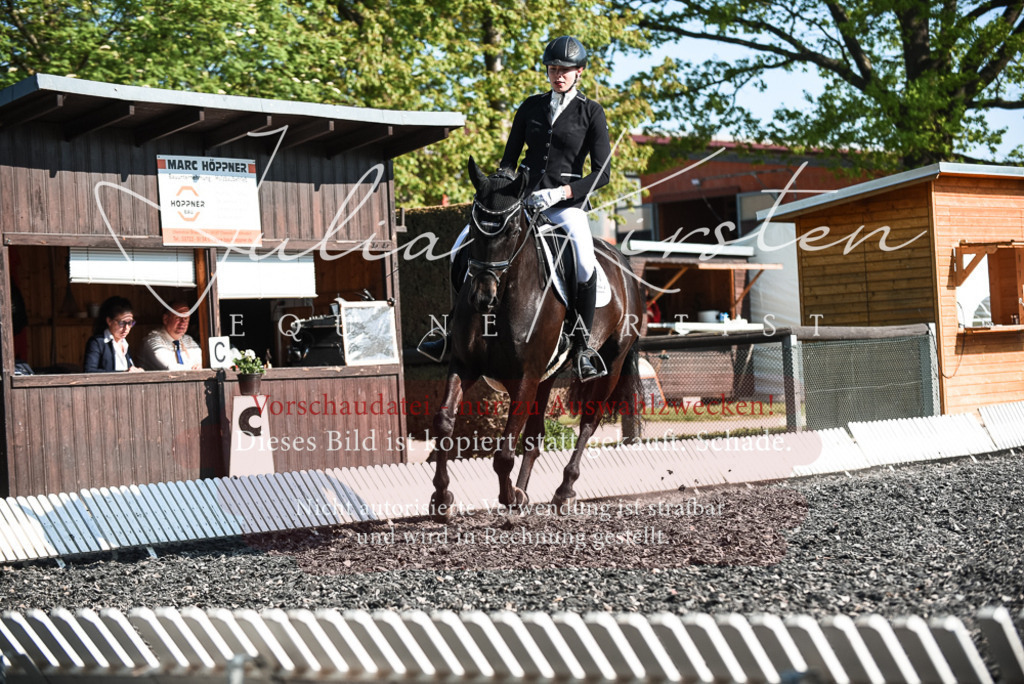 DSC_8380 | Pferde- und Turnierfotografie in Westsachsen. Pferdeportraits, Auftragszeichnungen und intuitive Kunst.