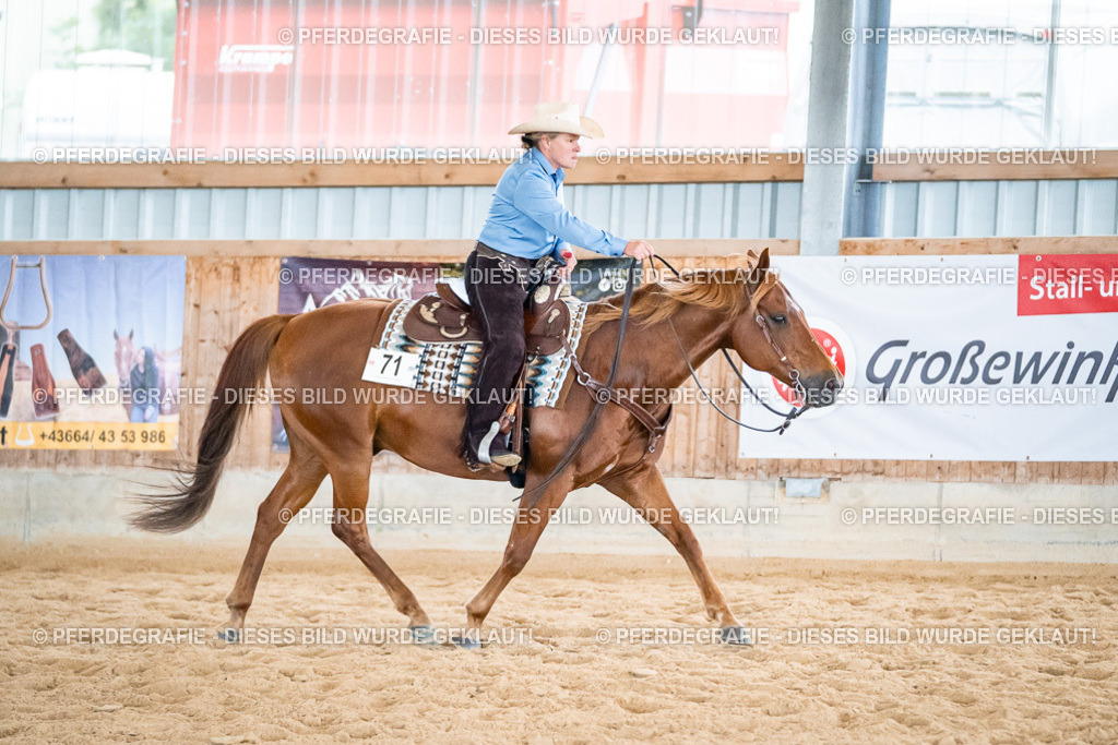 DSC02972 | Pferdegrafie