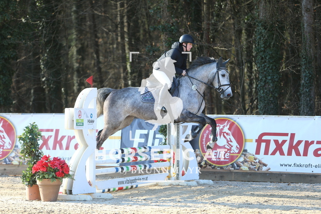 DL2Q1825 | Willkommen bei Brunnmayr - Design & Fotografie – Ihrem Spezialisten für Reitturniere und Pferdeveranstaltungen in Oberösterreich, Salzburg und Bayern! Seit über 17 Jahren sind wir leidenschaftlich dabei.