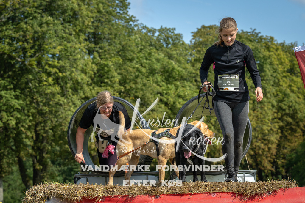 1308_ZZ92373 | kk-dogfotos