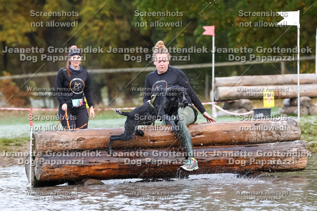 Dog Paparazzi - Strongdog 10-25-6214 | Dog Paparazzi Jeanette Grottendiek Fotografie & Videografie - Realisiert mit Pictrs.com