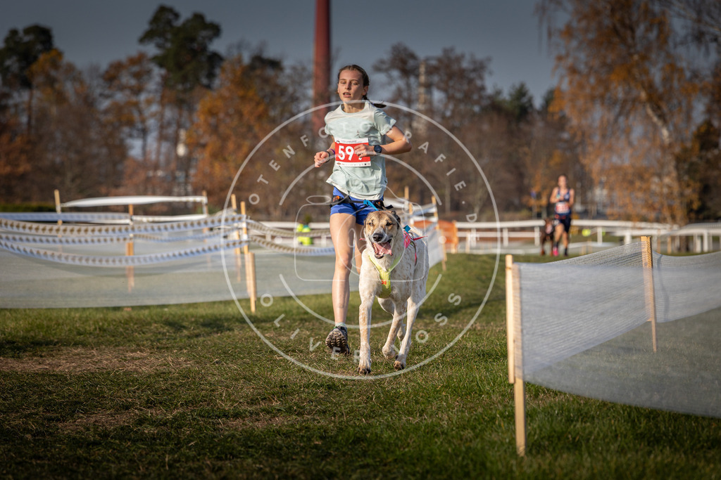 CaniXpix_0L8A0028 | Hundefotografie, Tierfotograf, Pfotenfotografie, Fotoshooting Hund, Hunde Portrait, Hundesport, Hundeportraits, Heideshooting, Hunde, Sportfotograf, Hundefotograf, Turnierhundsport, THS,  - Realisiert mit Pictrs.com