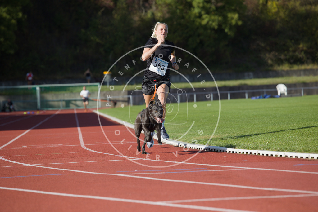 0L8A9829 | Hundefotografie, Tierfotograf, Pfotenfotografie, Fotoshooting Hund, Hunde Portrait, Hundesport, Hundeportraits, Heideshooting, Hunde, Sportfotograf, Hundefotograf, Turnierhundsport, THS,  - Realisiert mit Pictrs.com