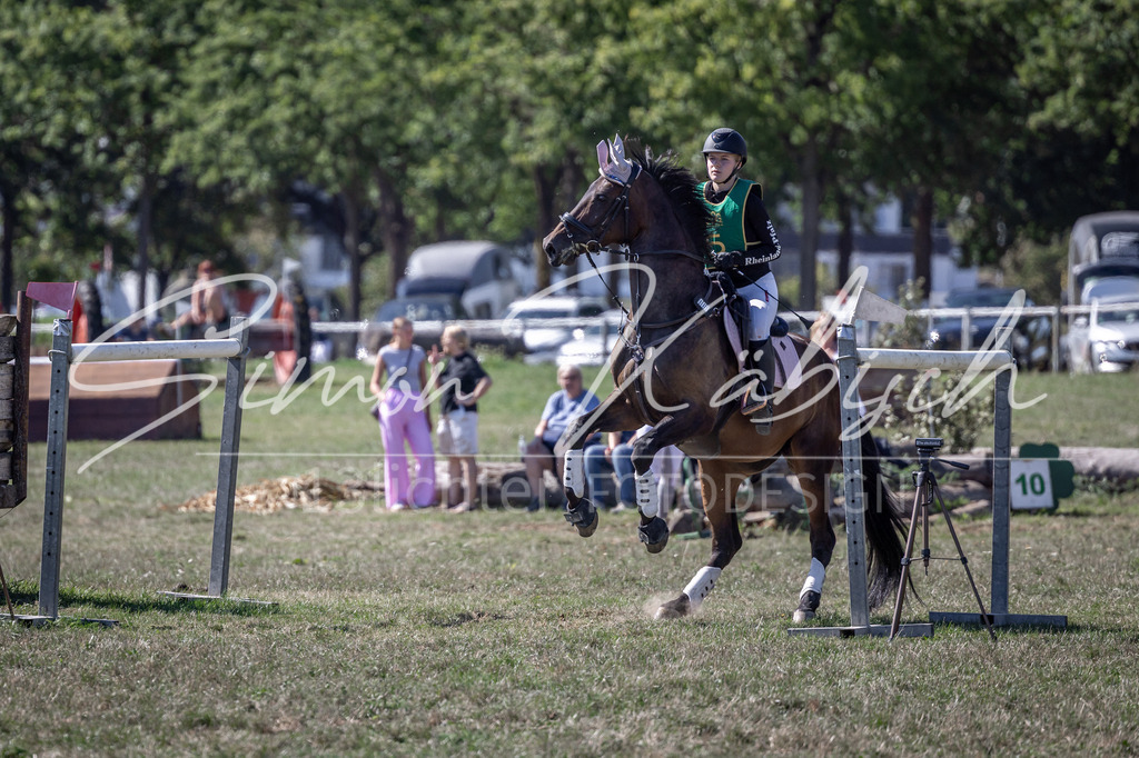 20260906-_3LI5199 | Tierfotografie Pferde, Hunde, Katzen, Haustiere.
Turnierfotografie Reitturniere, Reiten, Springreiten, Dressur in Hanau, dem Main-Kinzig-Kreis und dem Rhein-Main- Gebiet um Frankfurt