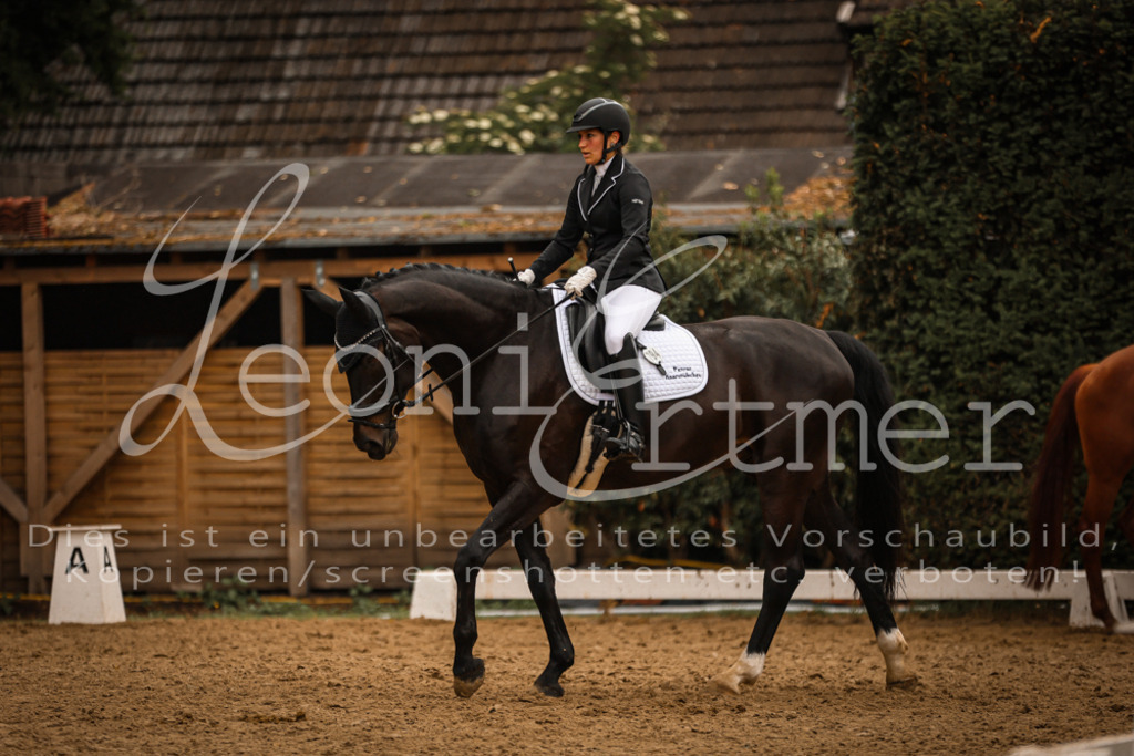 DoDrA200023 | Leoni Ertmer Photography - Realisiert mit Pictrs.com