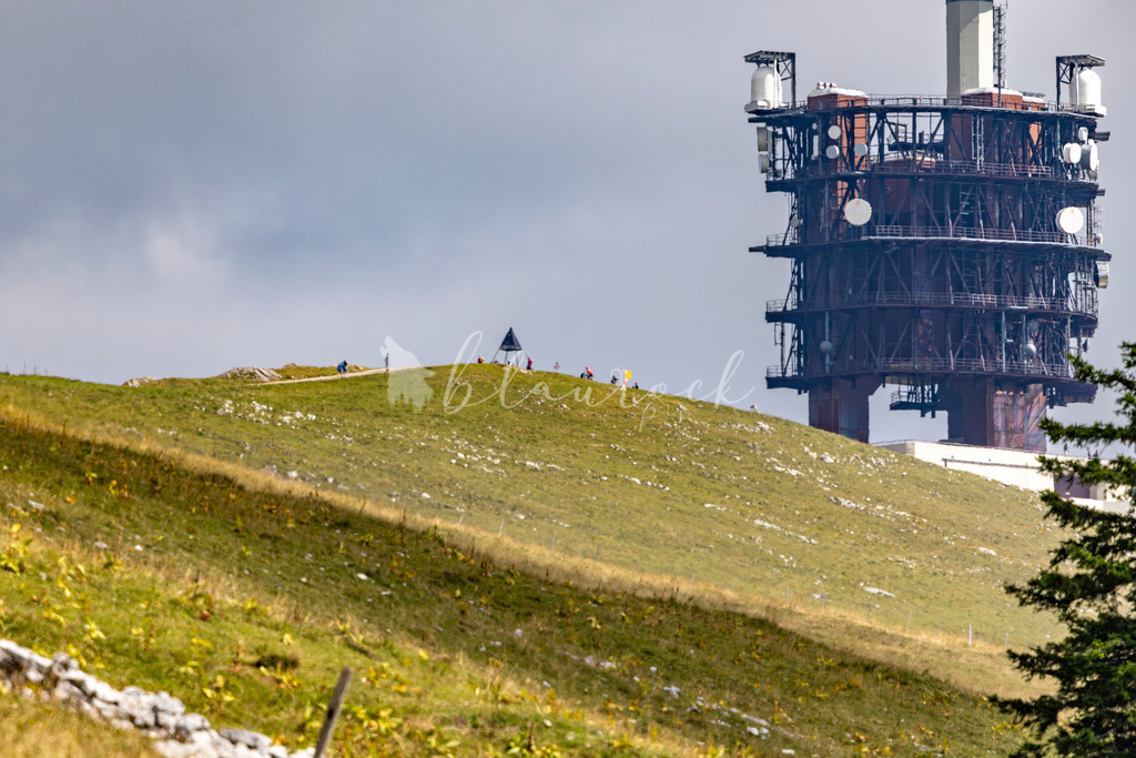 _01A6004 | Sportbilder, Sportfotograf, Hochzeits- und Eventfotografin, Flugshows, Portraits und Tiershooting, Aviation, Downhill, Nationalleague, Swissleague, International