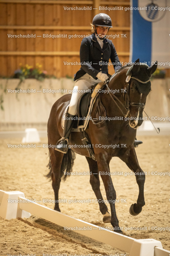 _D5A4076 | Emotionale Pferde- & People-Fotografie rund um Heidelberg, Leimen & Umgebung. Natürliche Fotos von Pferd, Mensch & Familie. Jetzt Termin sichern!