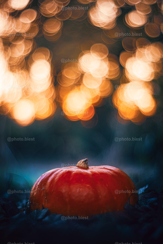 Pumpkin Time | Ein leuchtender Kürbis vor der untergehenden Sonne. - Realisiert mit Pictrs.com