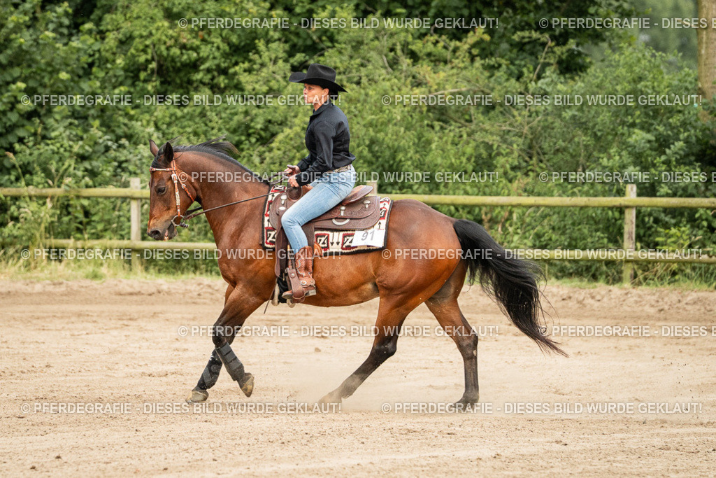 DSC05107 | Pferdegrafie