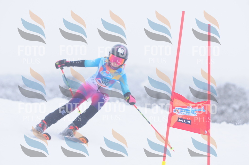 C2791 | holidayphoto