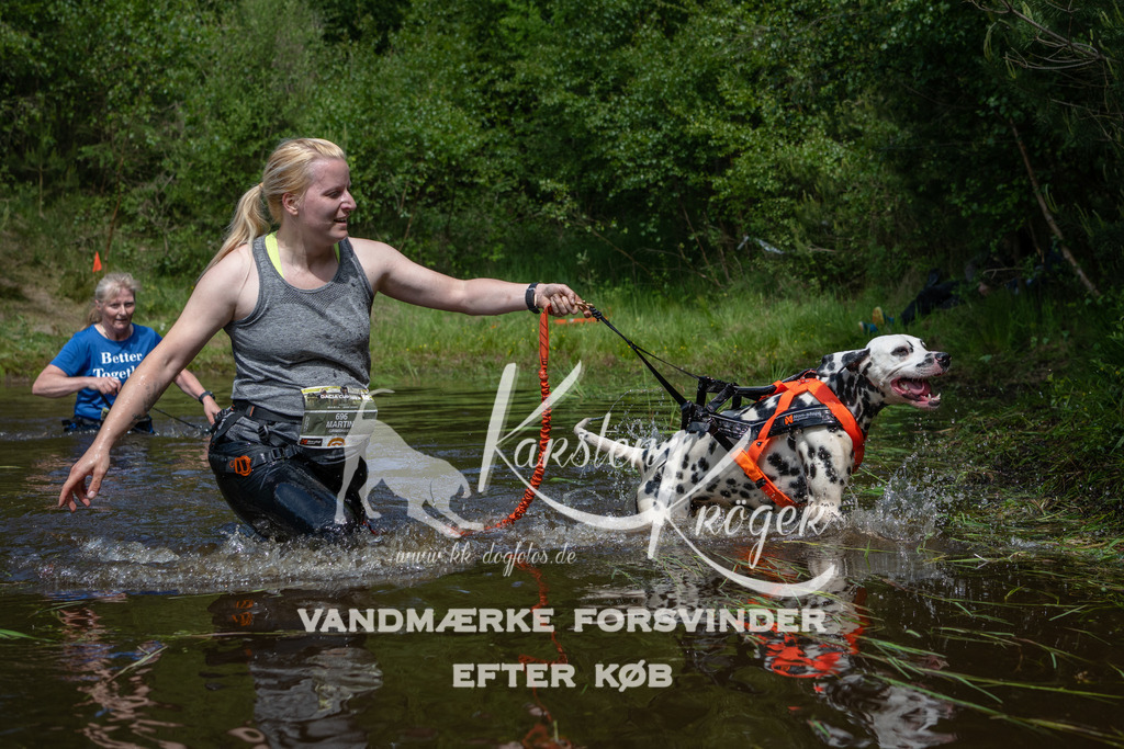 1203DKK991622 | kk-dogfotos