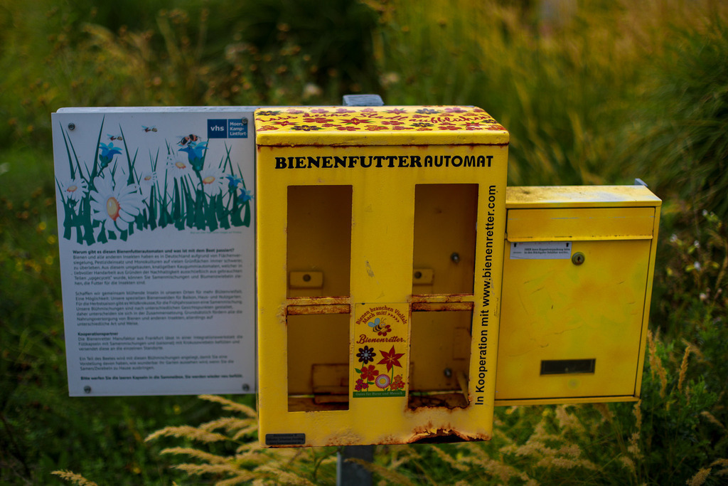 Moers_Stadtrundgang_070825_05 | Bildergalerie von Sport-Ereignissen aber auch von weiteren spannenden Dingen - nicht nur vom Niederrhein. In Anlehnung an den bekannten Spruch von Hanns Dieter Hüsch heißt das Motto: "Niederrhein ist überall".  - Realisiert mit Pictrs.com