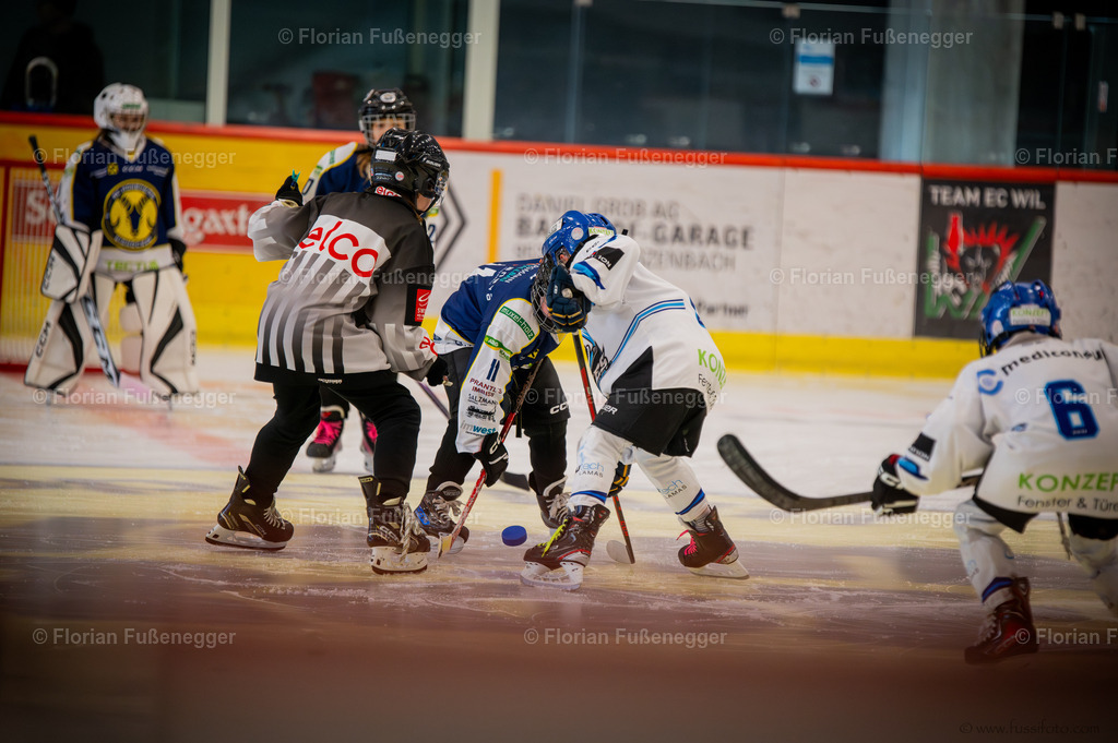 DSC_1775 | "Fussifoto.com – Ihr Ansprechpartner für hochwertige Fotografie! Entdecken Sie kreative Bilder und professionelle Dienstleistungen. Kontaktieren Sie uns für Ihre Projekte!"