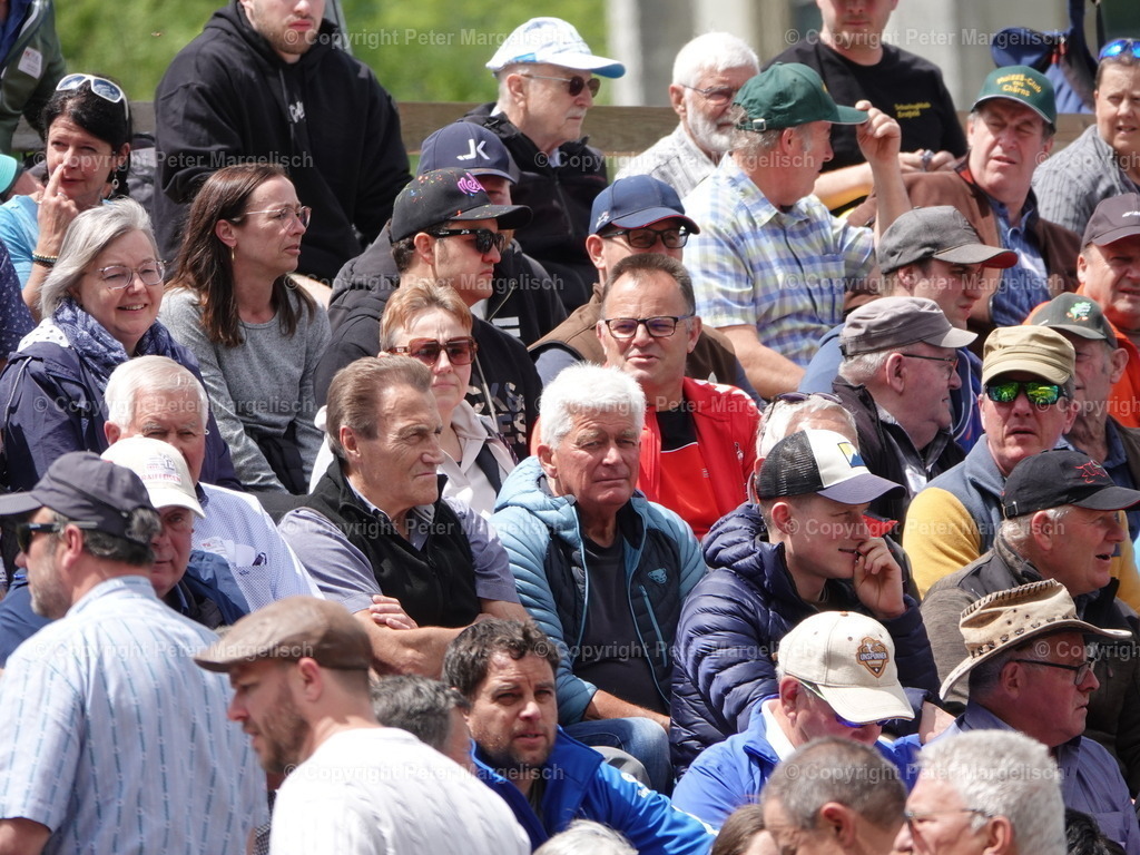 DSC07183 | Schwingen - Realisiert mit Pictrs.com