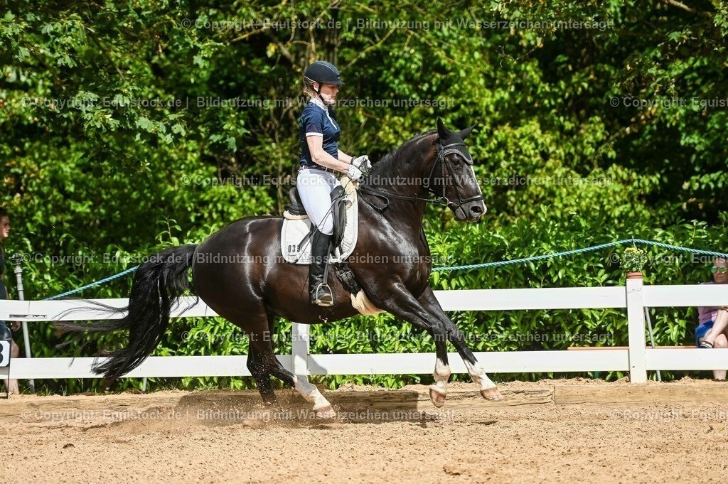 20230715_02_Dressurreiterprüfung Kl.L_0364 | equistock