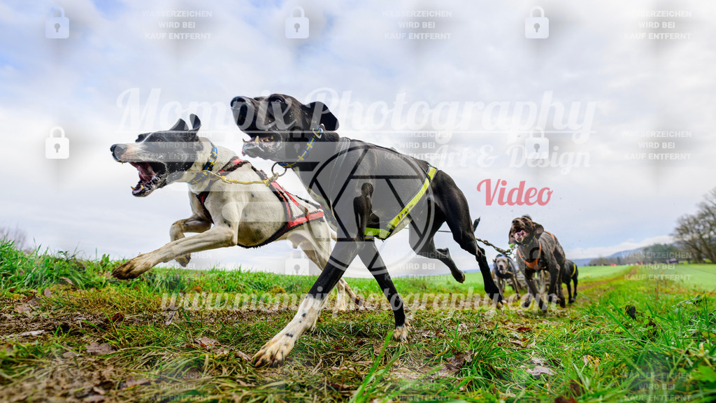 MompixPhotography_Staufertrail2024_SO_Kart-19 | PayLife