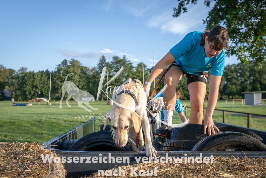 0821_ZZ91070 | kk-dogfotos