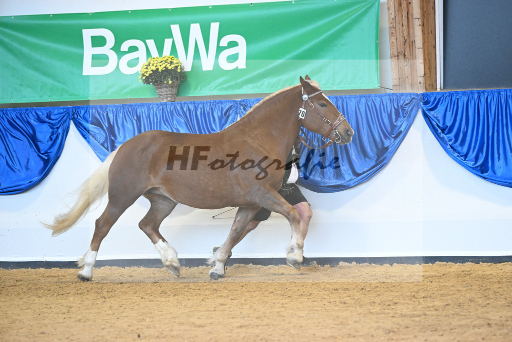 Kat-Nr. 70 Paula_Multerer_53220291 | hf-fotografie - Realisiert mit Pictrs.com