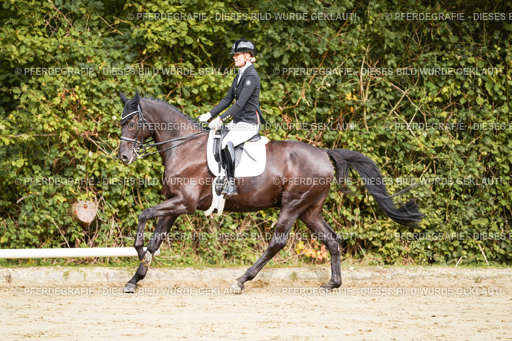 DSC02262 | Pferdegrafie