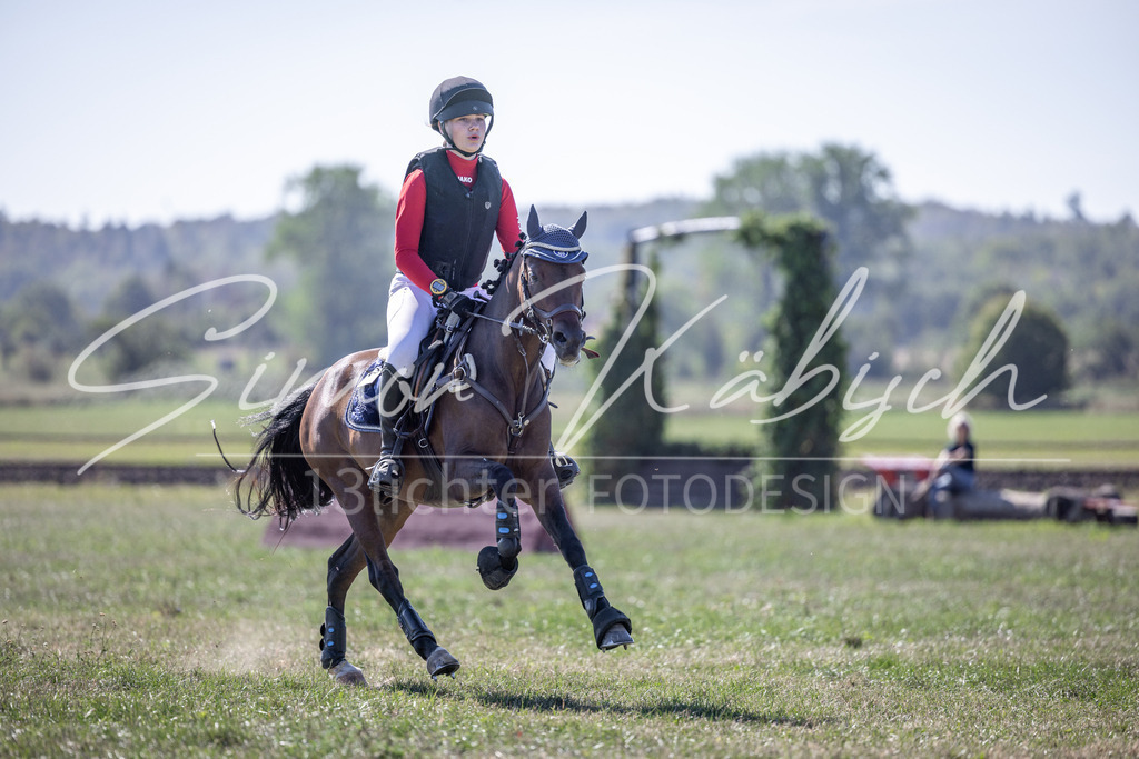 20260906-_3LI2918 | Tierfotografie Pferde, Hunde, Katzen, Haustiere.
Turnierfotografie Reitturniere, Reiten, Springreiten, Dressur in Hanau, dem Main-Kinzig-Kreis und dem Rhein-Main- Gebiet um Frankfurt