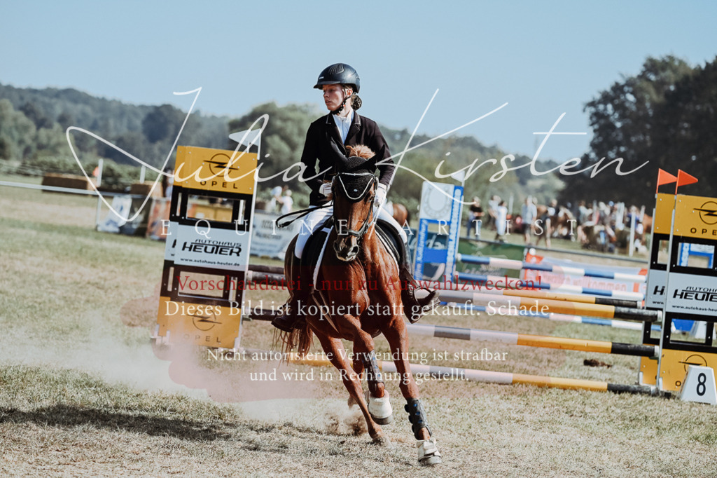 DSC_9369 | Pferde- und Turnierfotografie in Westsachsen. Pferdeportraits, Auftragszeichnungen und intuitive Kunst.