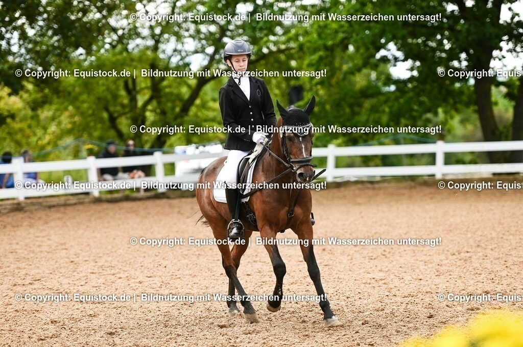 20230716_10-2_Reiter-WB Schritt - Trab - Galopp_0100 | equistock