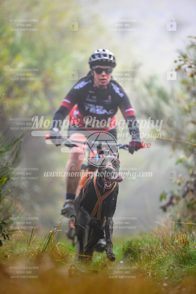 MompixPhotography_20TSB_E4_Bike-40 | PayLife
