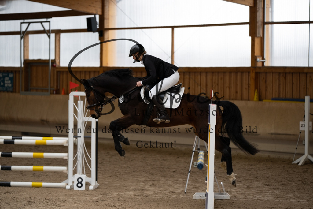 A7V00476 | Pferdefotograf